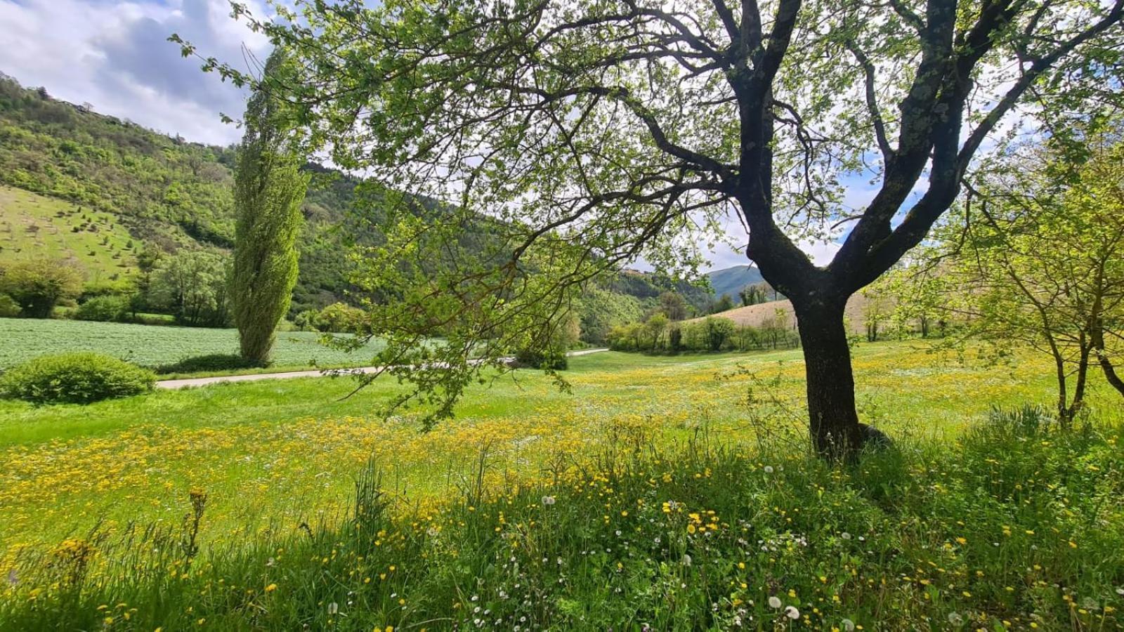 Capodacqua  Casa Zia Cianetta Residenza Di Campagnaゲストハウス エクステリア 写真