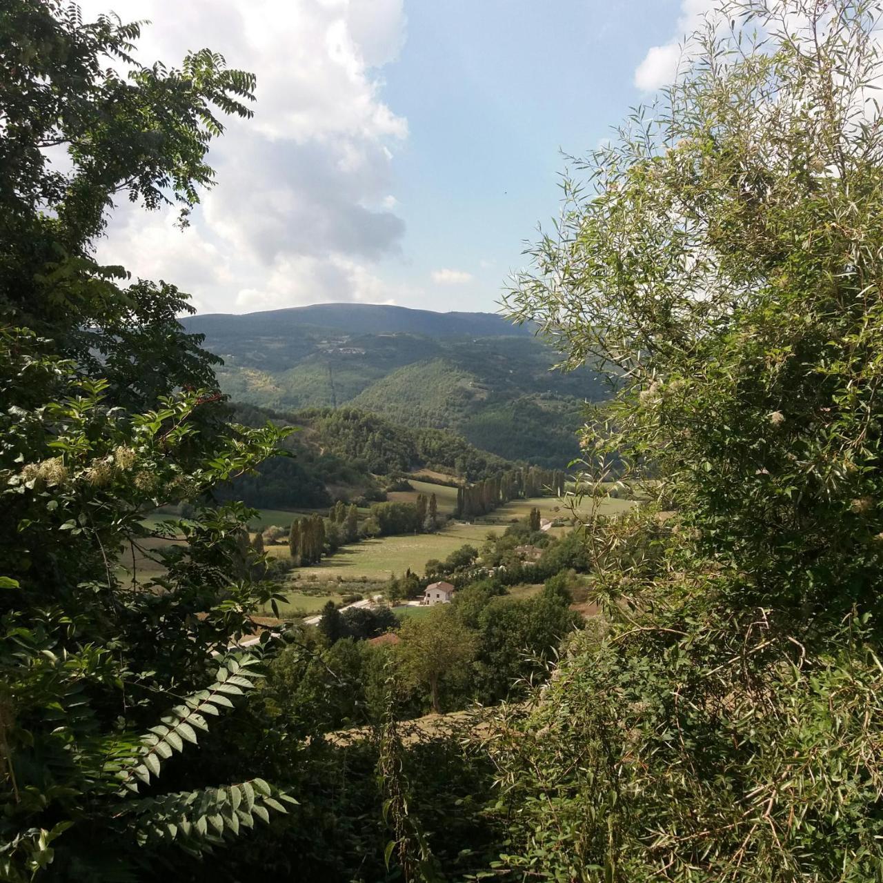 Capodacqua  Casa Zia Cianetta Residenza Di Campagnaゲストハウス エクステリア 写真